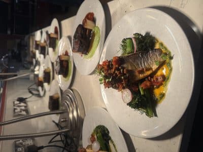 Renée's testimonial