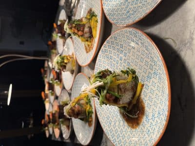 Stella's testimonial